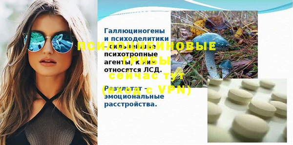 мескалин Арсеньев