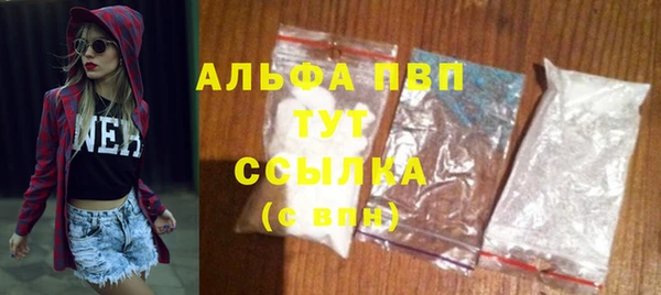 СК Горняк
