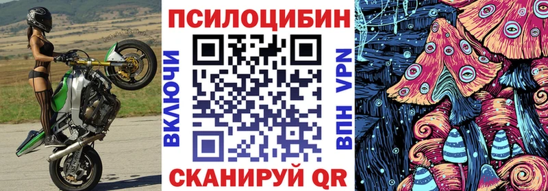 даркнет сайт Белая Холуница MEGA ТОР Галлюциногенные грибы Psilocybe