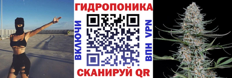 цена наркотик  Белая Холуница  Канабис ГИДРОПОН 